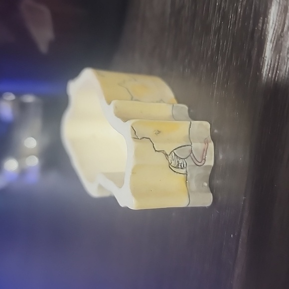 1980s world of meow cat trinket box with earrings and necklace - Picture 6 of 8